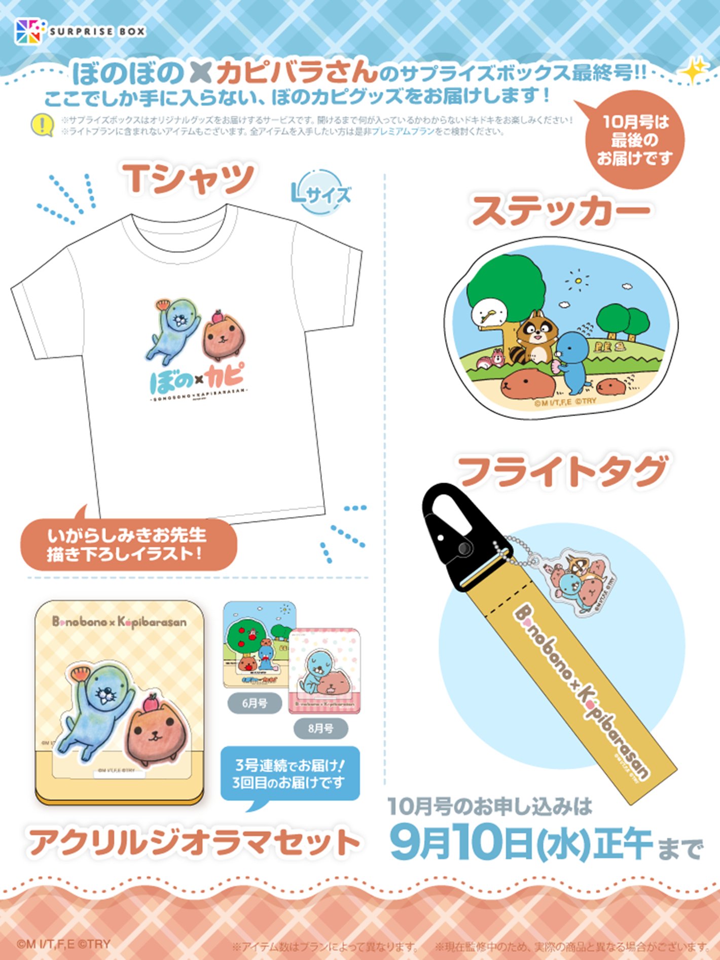カピバラさん☆ティーフォーツー 一番くじカピバラさん 〜Patchworks〜 ティーフォーツー - メルカリ