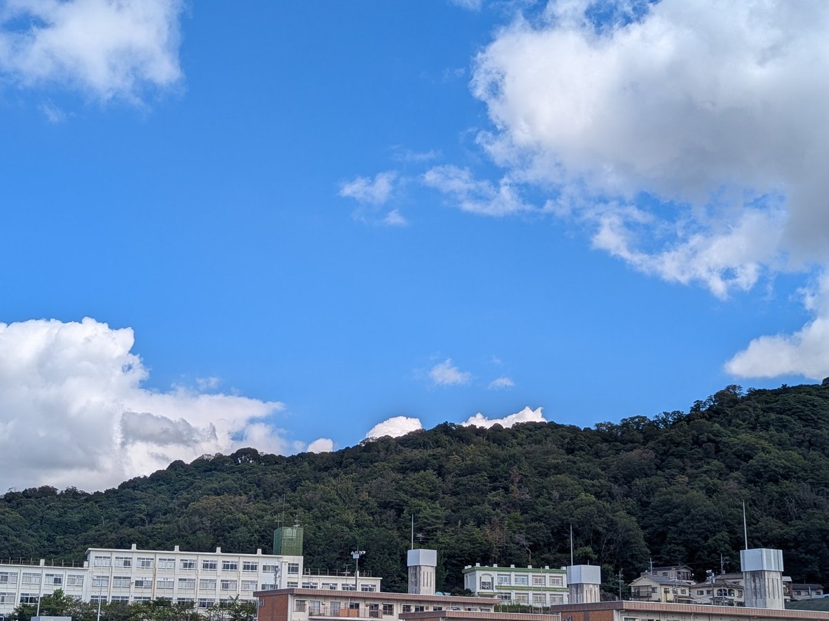 雲はあるけどいい天気！
セミも元気に鳴いてます