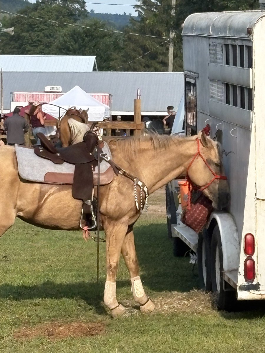 ☆ BEE ☆ // MCR NJ (@underscorebee) on Twitter photo 