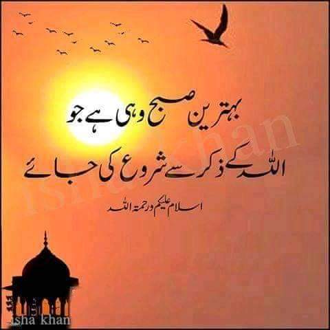 #السلام_عليكم 
#صباح_الخير_والسعاده 
#ไข่เจียวปู #JossGawin #SkyNani #ラヴィット