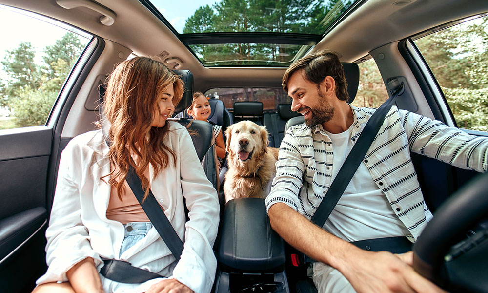 Remember, once you sign the bill of sale, you are legally obligated to buy the vehicle. loom.ly/RZYc5aY