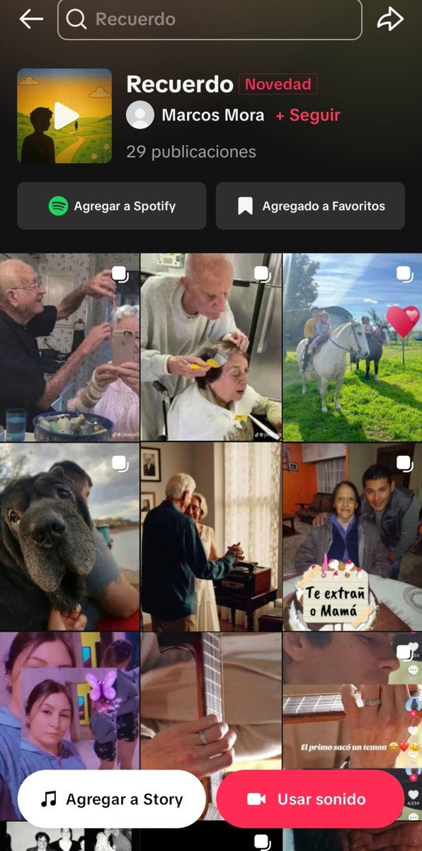 📲 La canción de Marcos "Recuerdo", ya está en TikTok como sonido para que lo usen en sus videos 💕

#MarcosGinocchio