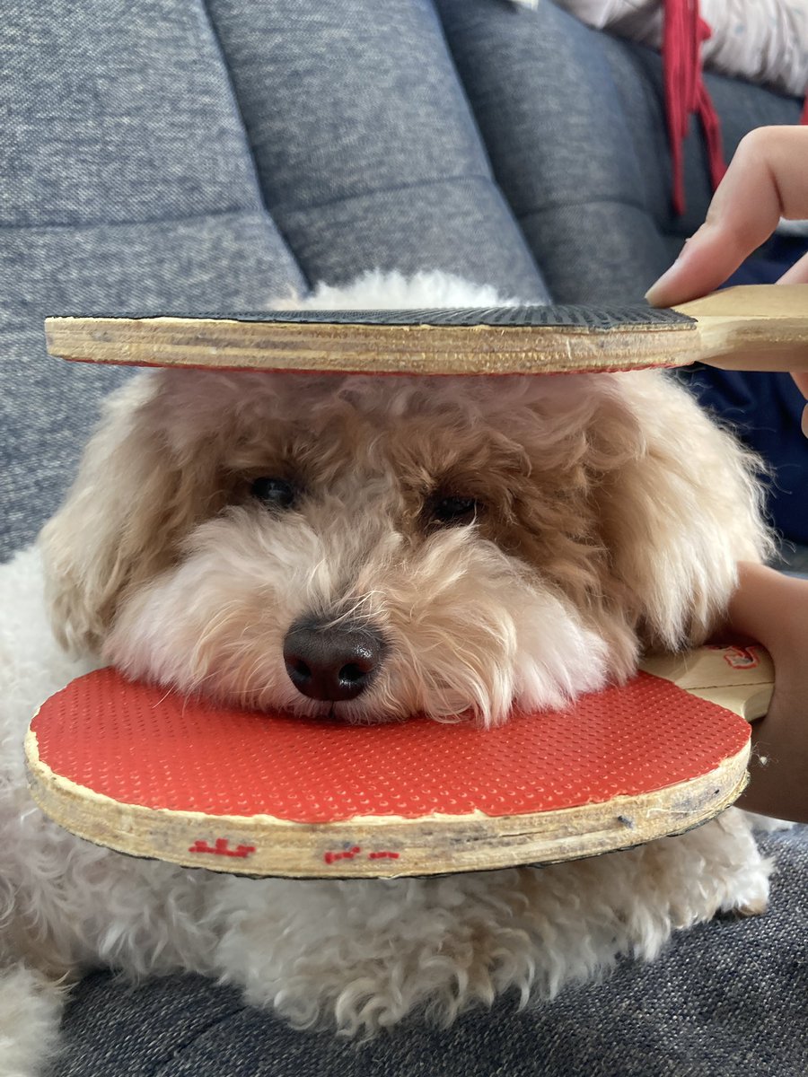 お兄ちゃんに絡まれるのは嫌いではない