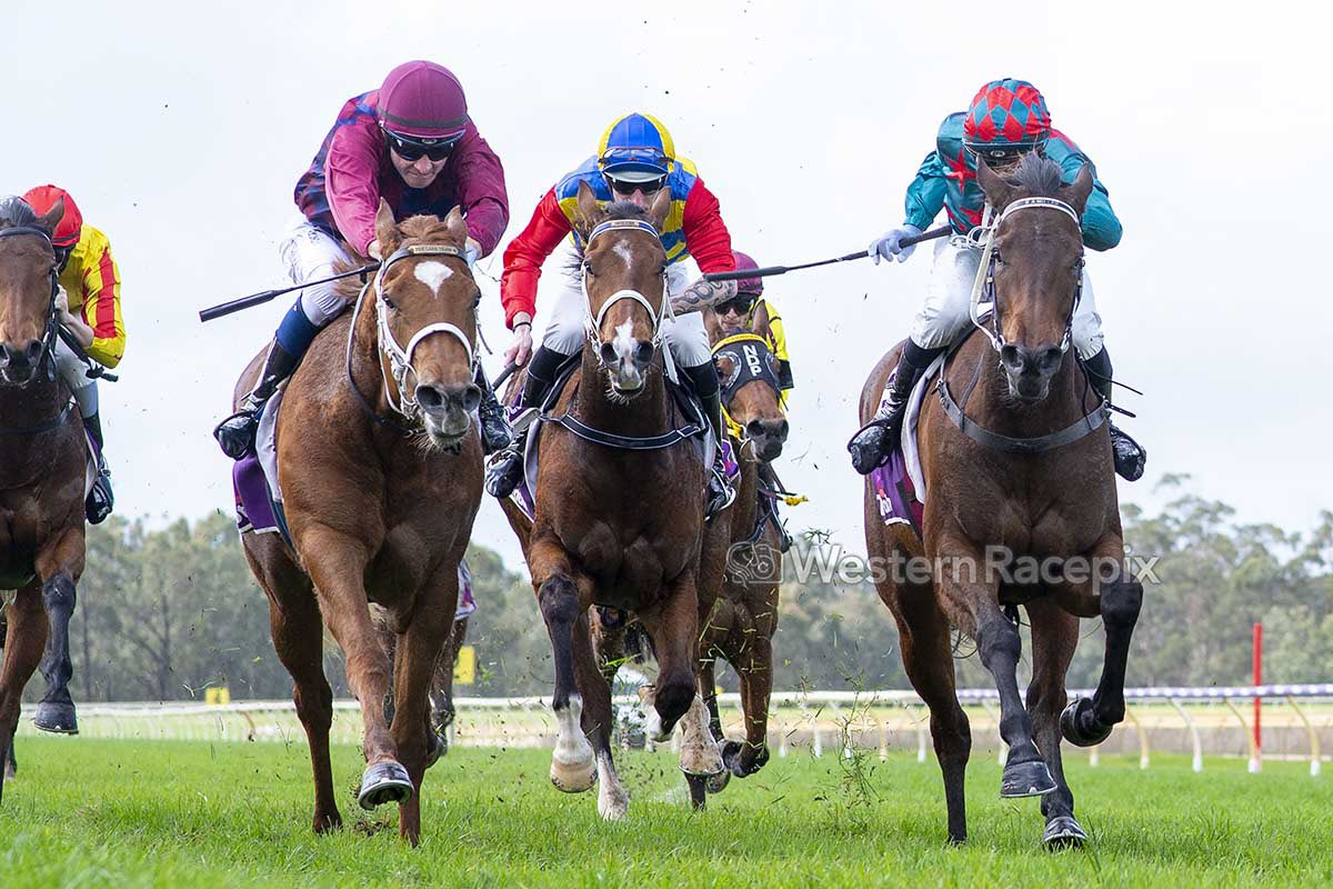 Michael Lane Racing tweet media