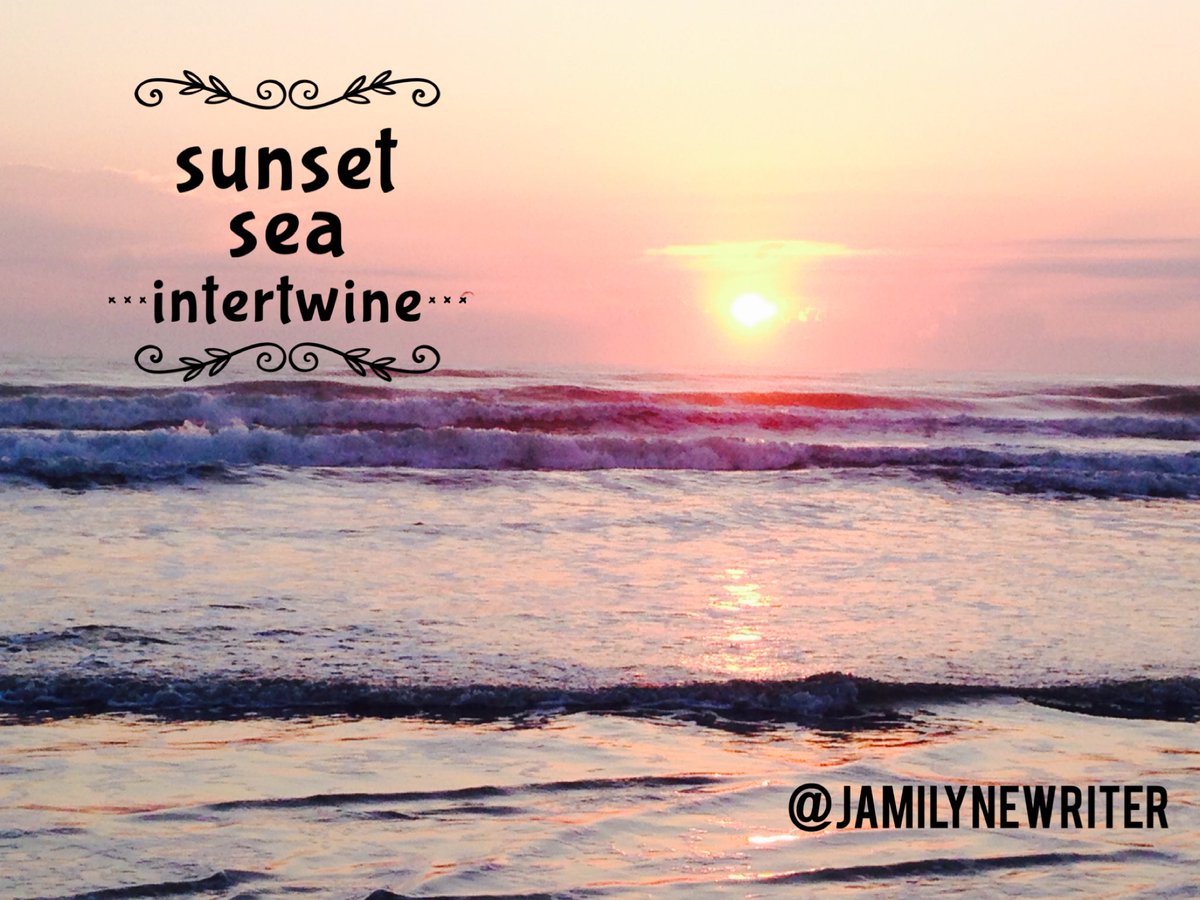 sunset 
      sea
   intertwine

#3wordspoet 
#MyPhoto