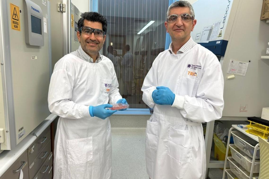 TRI-based researchers from <a href="/UQ_News/">UQ News</a> are the first in the  world to grow fully functioning human skin in a  laboratory, complete  with blood vessels, hair follicles, layers of tissue and immune cells. The model has been 6 years in the making. <a href="/shafiee_abbas/">Abbas Shafiee</a> bit.ly/4fLQhZu