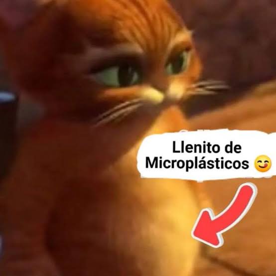 Paxxo_94's tweet photo. @poxelse 😋🍴 Microplasticos https://t.co/hl1XSF0Dec