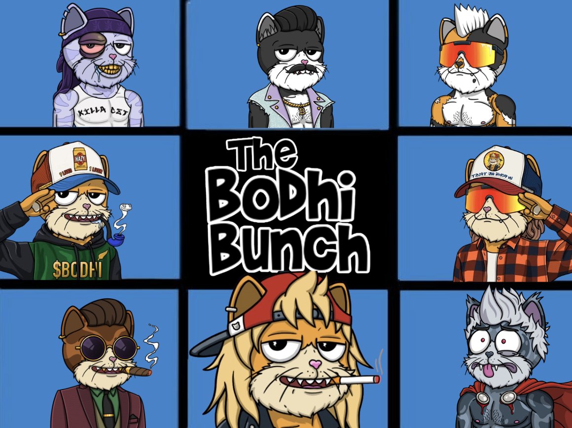 Here's a story of a cet named $Bodhi...

<a href="/Bodhi_Cet/">Bodhi_Cet</a> 
🐈‍⬛💦