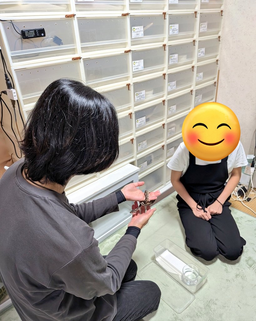 BallPython1207's tweet image. 群馬からご来店くださいました😊
奥様の一目惚れ様もお迎え頂きとても嬉しいです❤
暑い中本当にありがとうございます🙇
また遊びに来て下さいね❣️
楽しみにお待ちしております😊