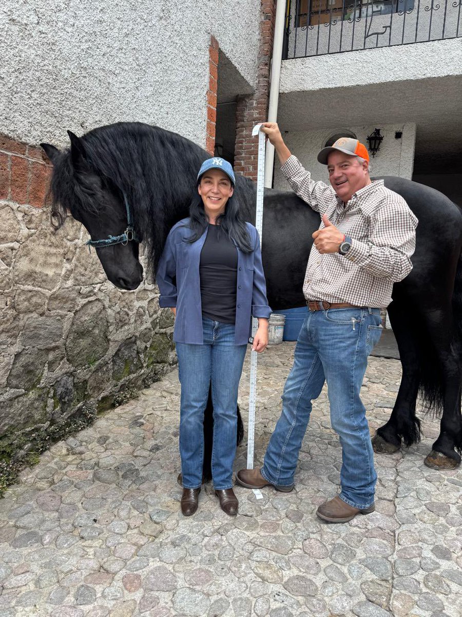 No es la pradera verde lo que forja al caballo, sino la tormenta y el camino de piedras.