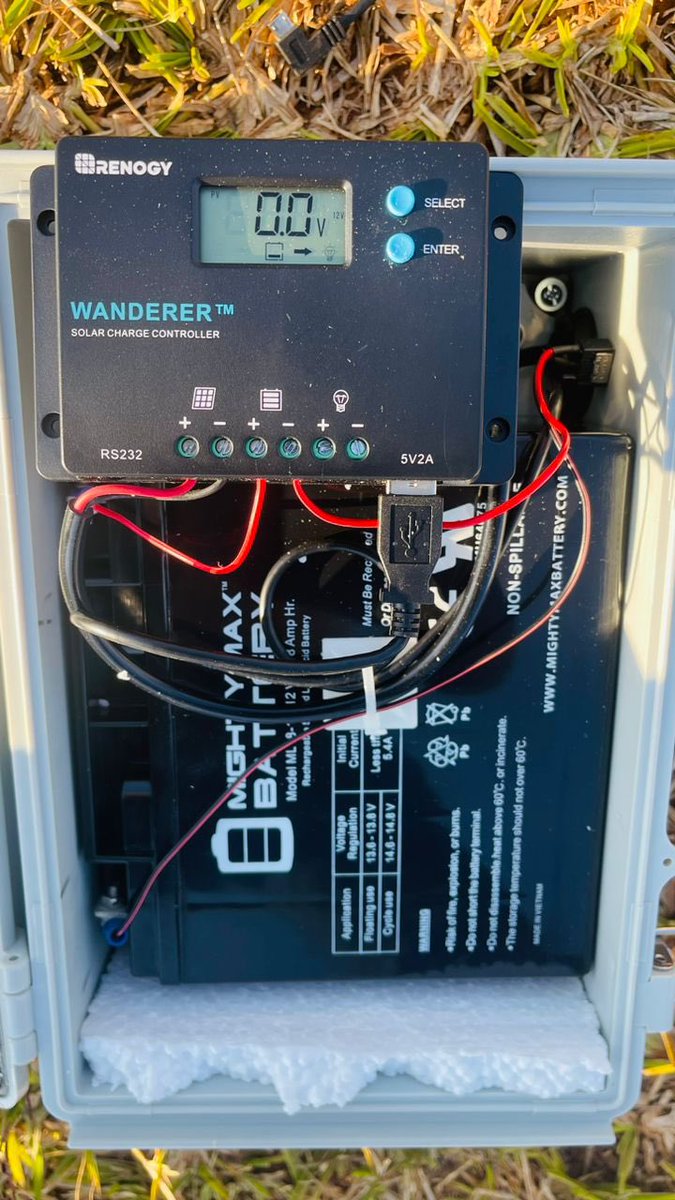 Collins Gameli HODOLI tweet media