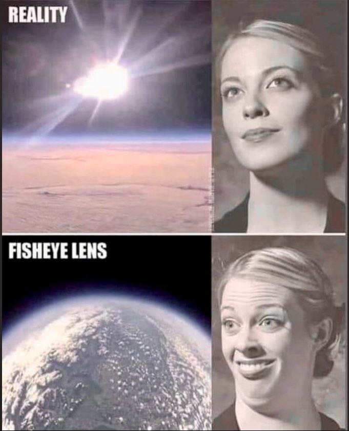 Can you tell the difference?