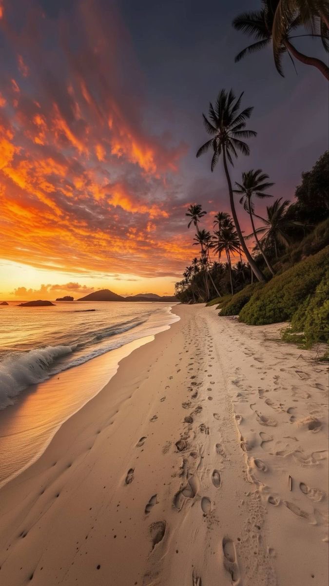 Seascape Nature tweet media