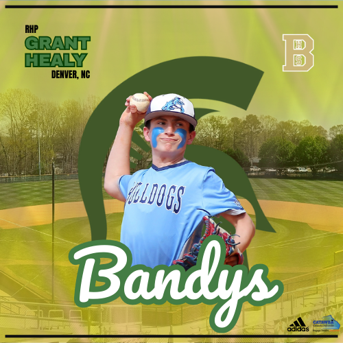 commitdemon's tweet image. Video/Edit for Grant Healy (@granthealy_2029) of Bandys High School (NC). DM to be featured! #granthealy #bandyshigh #baseball