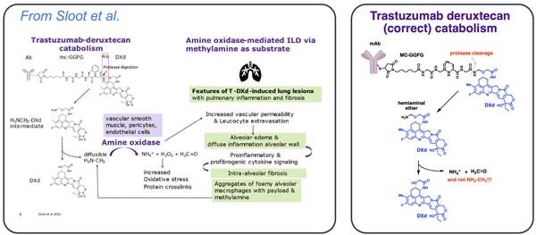Raffaele Colombo Challenges Proposed Mechanism of ILD in DXd-Based ADCs 5 Image