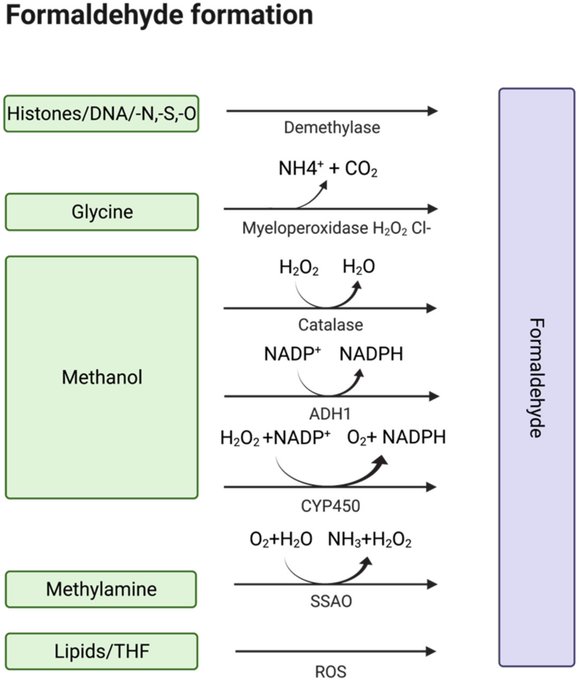 Raffaele Colombo Challenges Proposed Mechanism of ILD in DXd-Based ADCs 6 Image