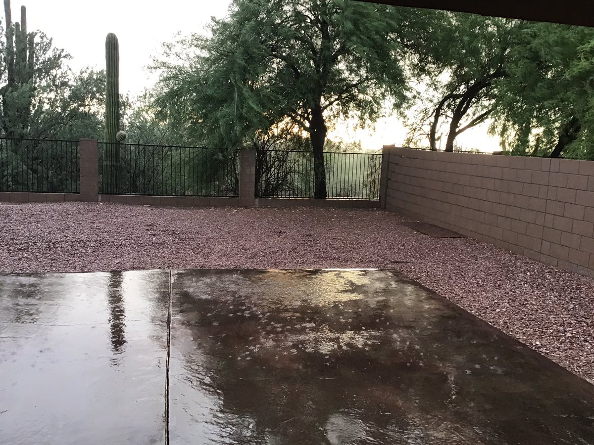 After weeks of getting nada, it’s finally raining! Wahoo, monsoon! Rockin’ some thunder and a rainbow, too. 

#Tucson