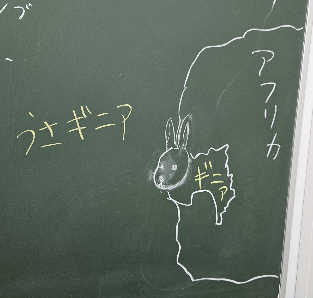 FirstHt315's tweet photo. 耳の長いギニア　うさギニア https://t.co/BeJUSQy9Nu