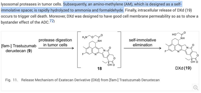 Raffaele Colombo Challenges Proposed Mechanism of ILD in DXd-Based ADCs 13 Image