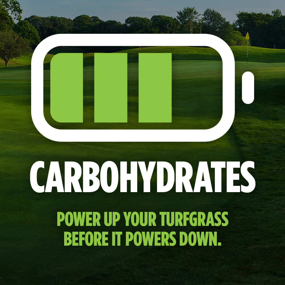 In harsh winters, every bit of carbohydrate energy helps turf survive. As daylight fades, photosynthesis, which builds carbohydrates, slows. Foliar-Pak Foundation Forty and Amperage support carbohydrate production to keep turf strong.