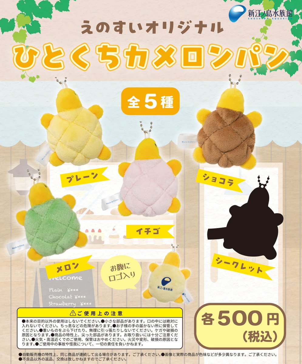 ご好評につき再入荷！ ひとくちカメロンパン🍞 カメの形をした