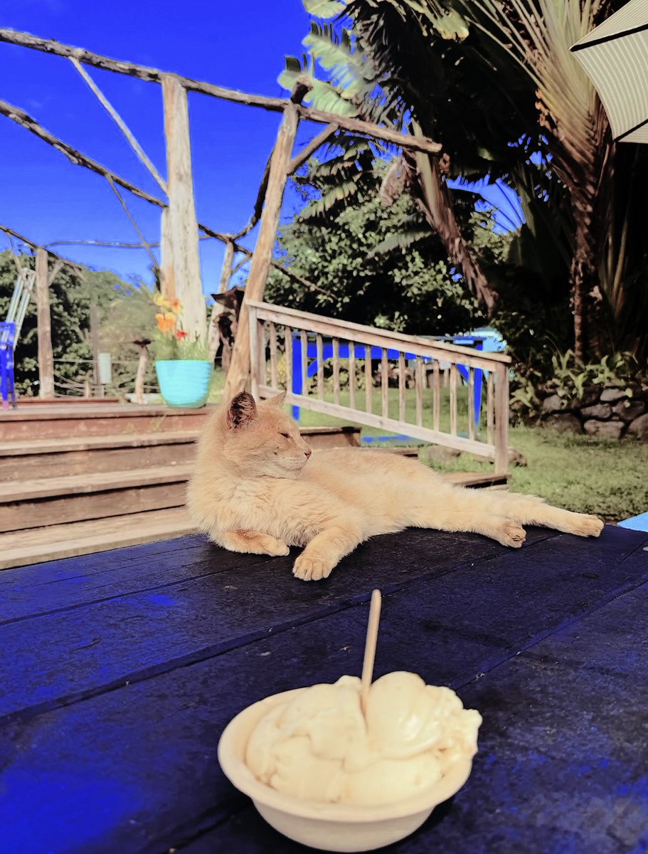 leostatics's tweet image. ⠀⠀⠀⠀⠀⠀‍‍‍‍‍‍‍‍‍‍‍⠀⠀⠀ 𝚑𝚊𝚠𝚊𝚒𝚒 𝚑𝚒𝚝𝚜 ⠀⠀⠀⠀⠀⠀‍‍‍‍‍‍‍‍‍‍‍⠀⠀⠀ 𝚍𝚒𝚏𝚏𝚎𝚛𝚎𝚗𝚝. ♡ ♌︎ ☪︎ . ⠀⠀⠀⠀⠀⠀‍‍‍‍‍‍‍‍‍‍‍⠀⠀⠀ ⠀⠀⠀⠀⠀⠀‍‍‍‍‍‍‍‍‍‍‍⠀⠀⠀