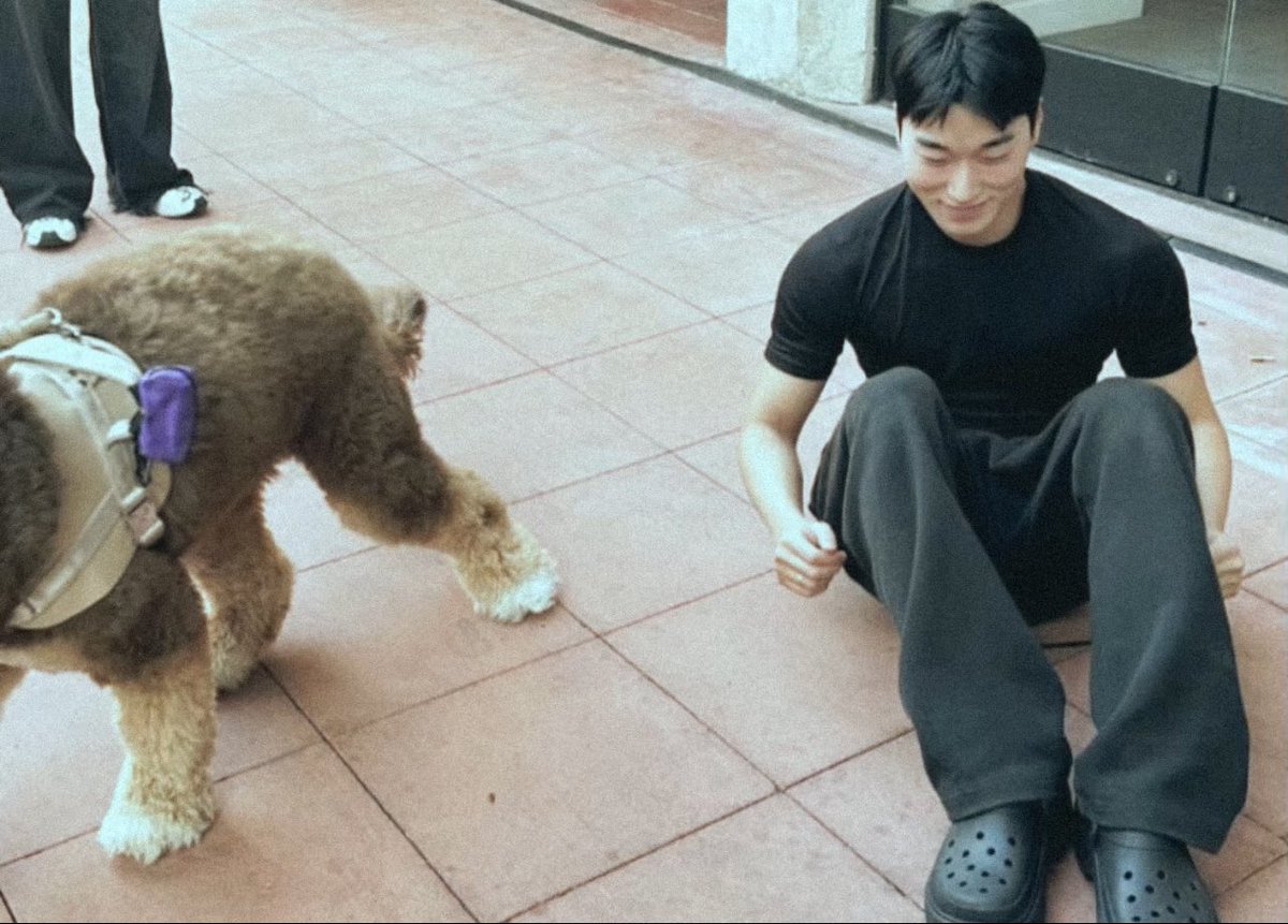 csanfolder's tweet image. 