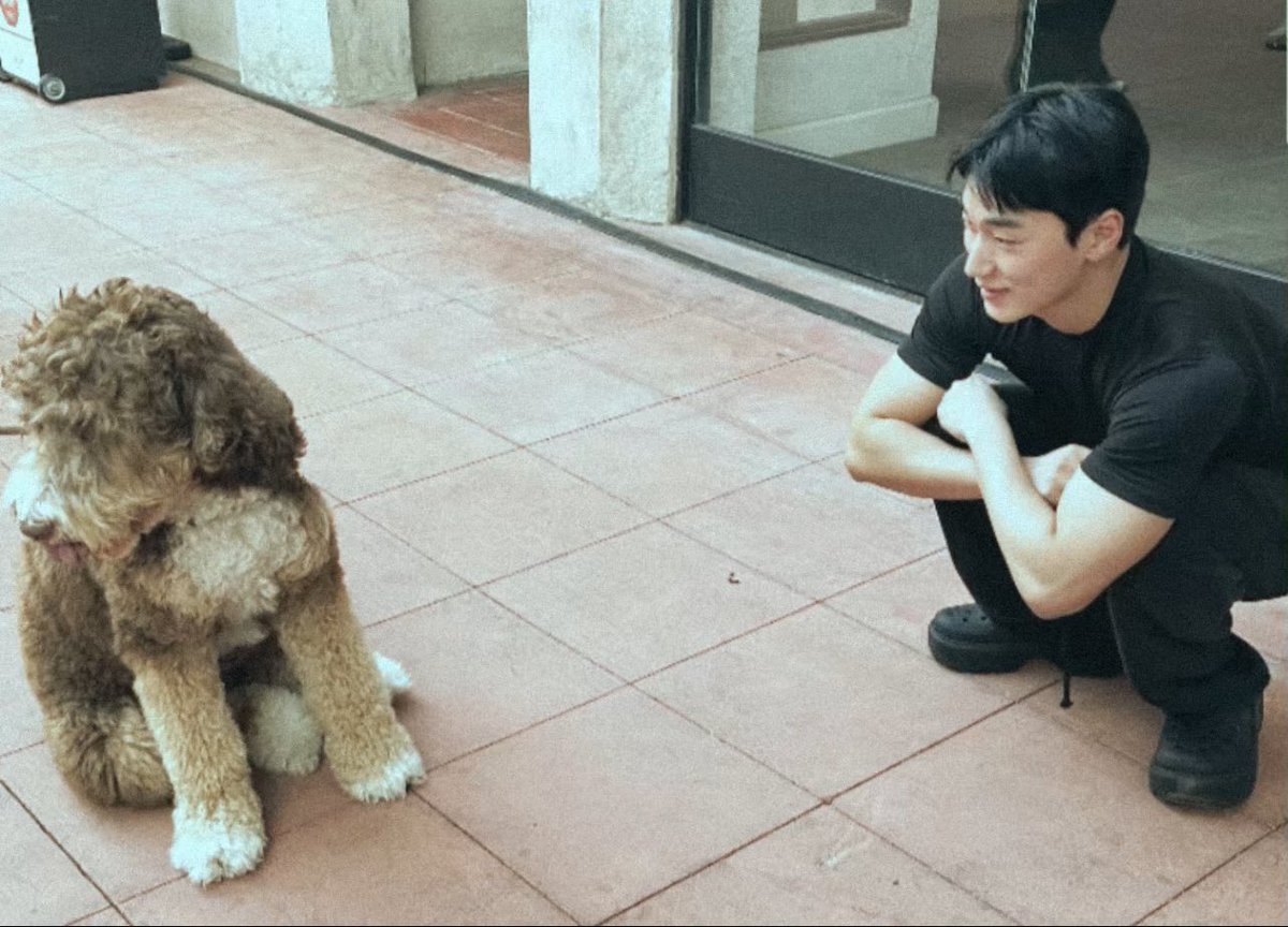 csanfolder's tweet image. 