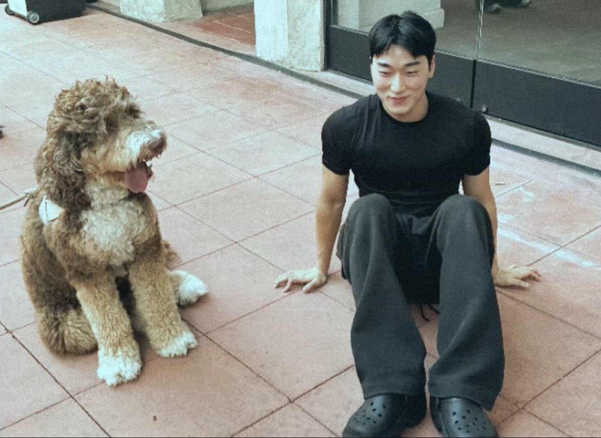 csanfolder's tweet image. 