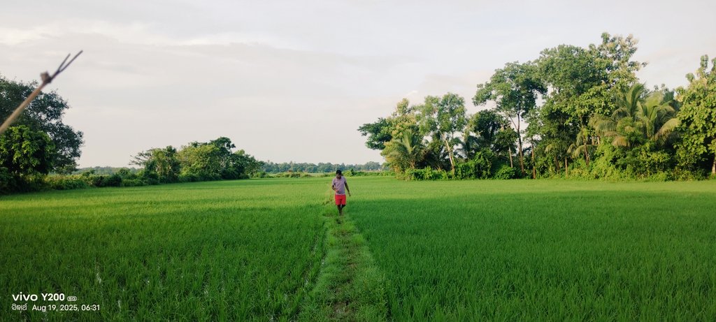 ସୁନ୍ଦର ଦୃଶ୍ୟ...

#ଛୋଟମୋର ଗାଁ ଟି