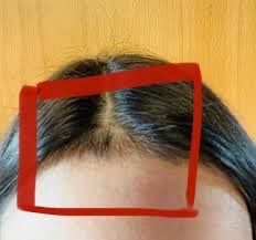 samolweck_'s tweet photo. If I keep cutting my bangs every crashout im gonna have these by october https://t.co/zKwKeyq7Ix