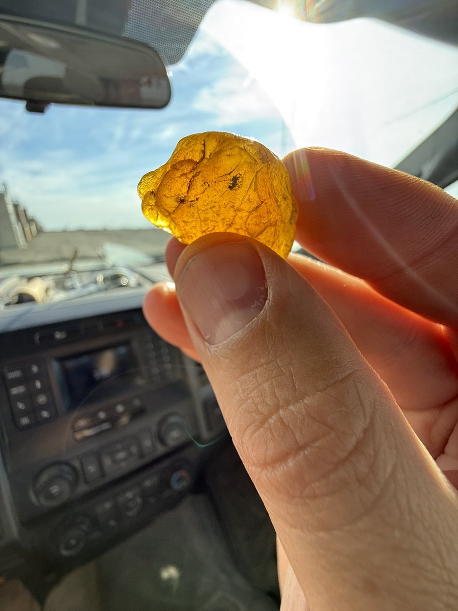 TimelessTopHat's tweet photo. Chalcedony or maybe Carnelian?
This thing just glows.
#rockhounding #rocksrock #alaska https://t.co/AdcZ5ca9KB