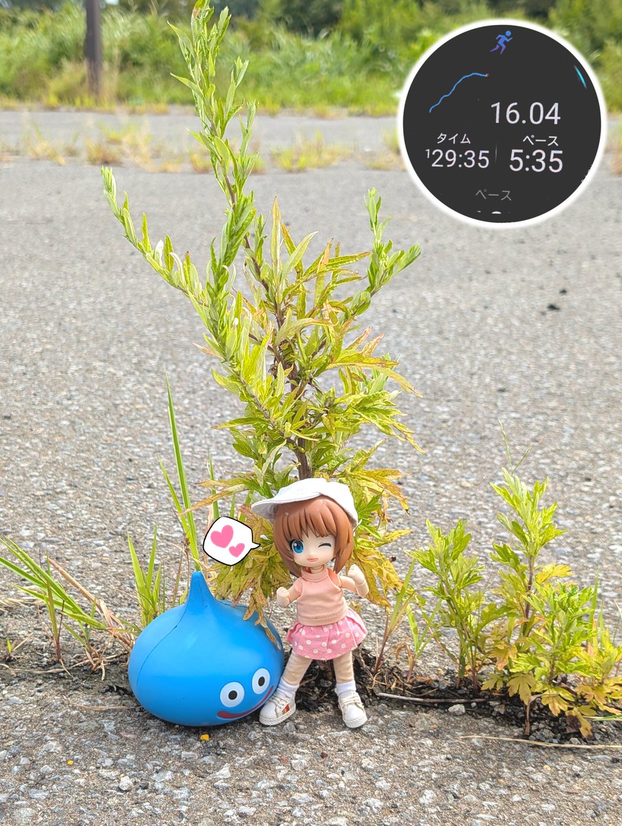 ジョギングしてきました🏃
(距離16.04km　ペース5:35/km)

３日ぶりのランニングきもちいい！✨