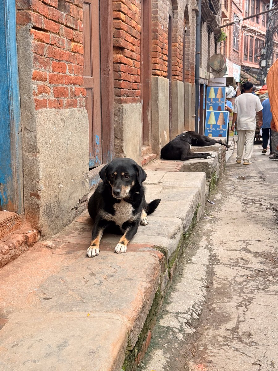 sandeepnmusic's tweet image. On the road from Nepal to Mount Kailash with Sadhguru—last time on foot, now on two wheels. Smoother roads, stronger spirit, unreal views. Unforgettable ride so far, and more to come. From the saddle to the sacred. #Kailash #Sadhguru #Motorcycle #Himalayas #Pilgrimage #Travel