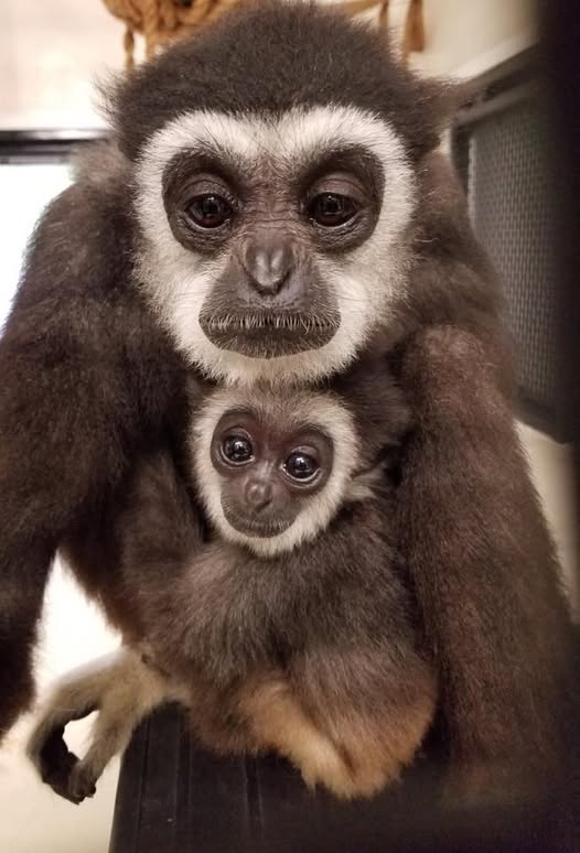 lets take a selfie with mama