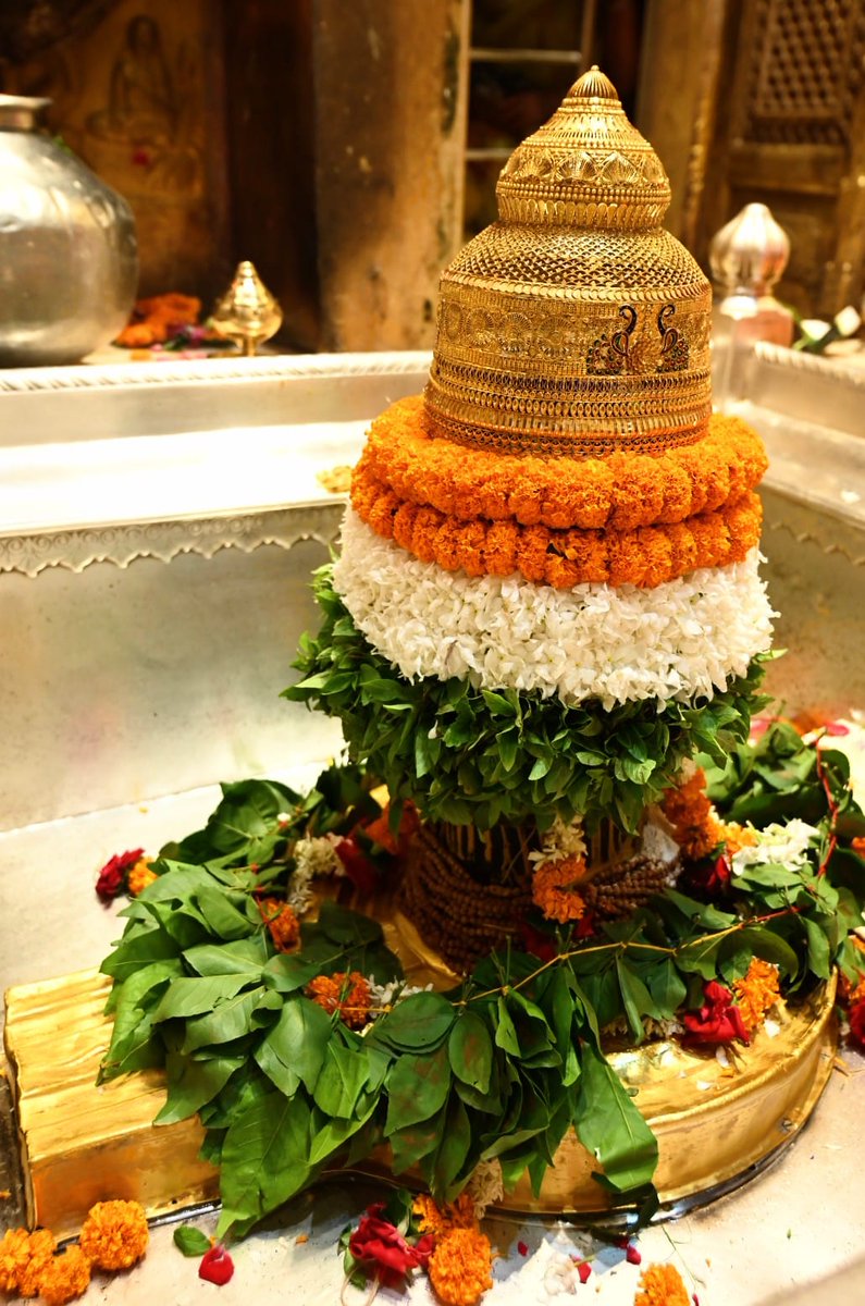 "प्लास्टिक मुक्त धाम" अभियान में सम्मानित काशीवासियों, और भगवान विश्वनाथ के श्रद्धालुओं के अपार सहयोग के बाद एक नवाचार प्रकृति ने प्रारंभ किया प्रतीत होता है। सायंकाल श्वेत उलूक (अकेले सफेद उल्लू) की उपस्थिति।
प्रातः मंगला आरती में श्वेत युगल कपोत (कबूतर का जोड़ा) बहुत पहले से