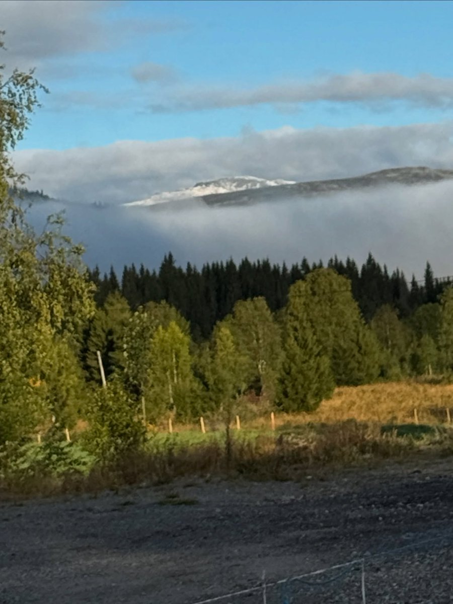 Snow Forecast.com (@snowforecast) on Twitter photo It may still be summer, but the first snow ahead of the 25-26 season has been spotted on the peaks above Norway's <a href="/skistarhemsedal/">skistar hemsedal</a> this morning. It may still be summer, but the first snow ahead of the 25-26 season has been spotted on the peaks above Norway's <a href="/skistarhemsedal/">skistar hemsedal</a> this morning.