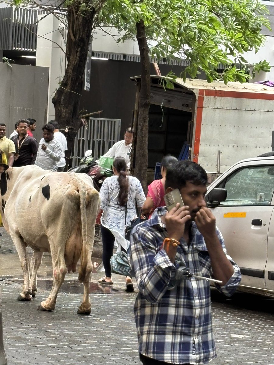 harshshah1985's tweet photo. @mybmc https://t.co/gGhBdJOHzf.17 pant nagar ghatkopar east. Yesterday the bmc vehicle came to clear the hawkers but it seemed that there is a strong nexus &amp; only selective things from selective hawkers were picked. Again today the hawkers are back. https://t.co/2swsSbB4zT