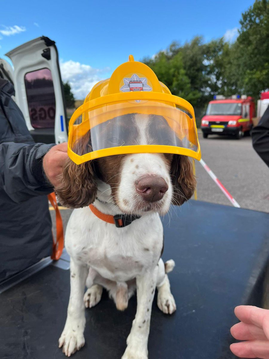 Mac, Coorie & Diesel tweet media