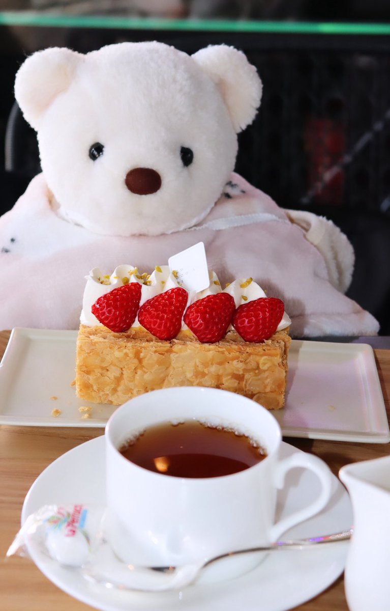 paw0_'s tweet photo. ぬいぐるみはこの世で最も愛らしい姿である
 #ぬい撮り  #くまのぽーちゃん  #ぬいぐるみ好きさんと繋がりたい https://t.co/Y7Be6Rxc2X