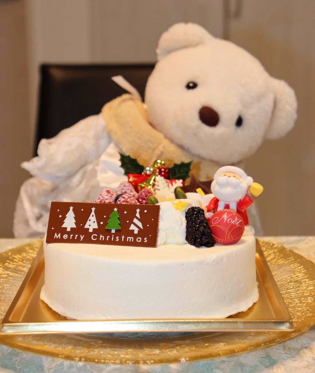 ぬいぐるみはこの世で最も愛らしい姿である
 #ぬい撮り  #くまのぽーちゃん  #ぬいぐるみ好きさんと繋がりたい