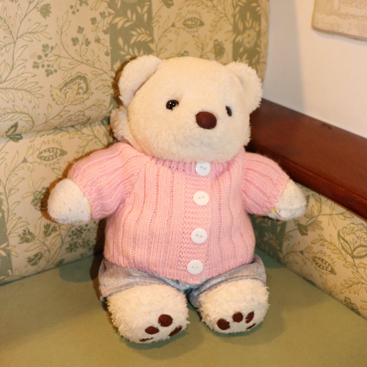 paw0_'s tweet photo. ぬいぐるみはこの世で最も愛らしい姿である
 #ぬい撮り  #くまのぽーちゃん  #ぬいぐるみ好きさんと繋がりたい https://t.co/Y7Be6Rxc2X