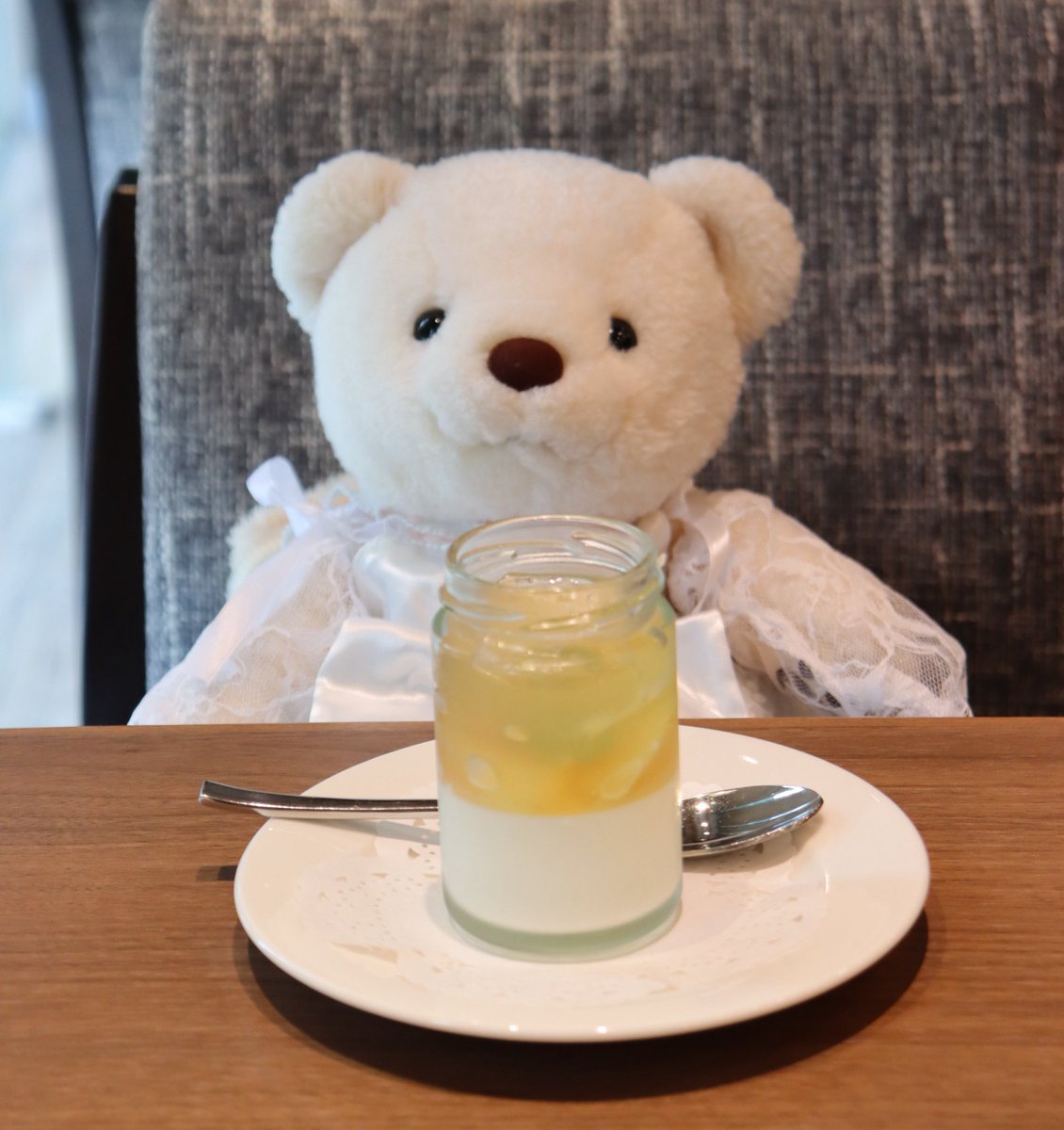 paw0_'s tweet photo. ぬいぐるみはこの世で最も愛らしい姿である
 #ぬい撮り  #くまのぽーちゃん  #ぬいぐるみ好きさんと繋がりたい https://t.co/Y7Be6Rxc2X