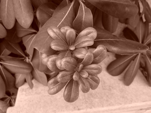 Martine Roffinella (@mroffinella) on Twitter photo #jeudiphoto
Je ne sais pas trop pourquoi (et tant mieux) mais j'aime ce qui se dégage de cette image faite hier matin juste avant la petite pluie.
©️MartineRoffinella #jeudiphoto
Je ne sais pas trop pourquoi (et tant mieux) mais j'aime ce qui se dégage de cette image faite hier matin juste avant la petite pluie.
©️MartineRoffinella