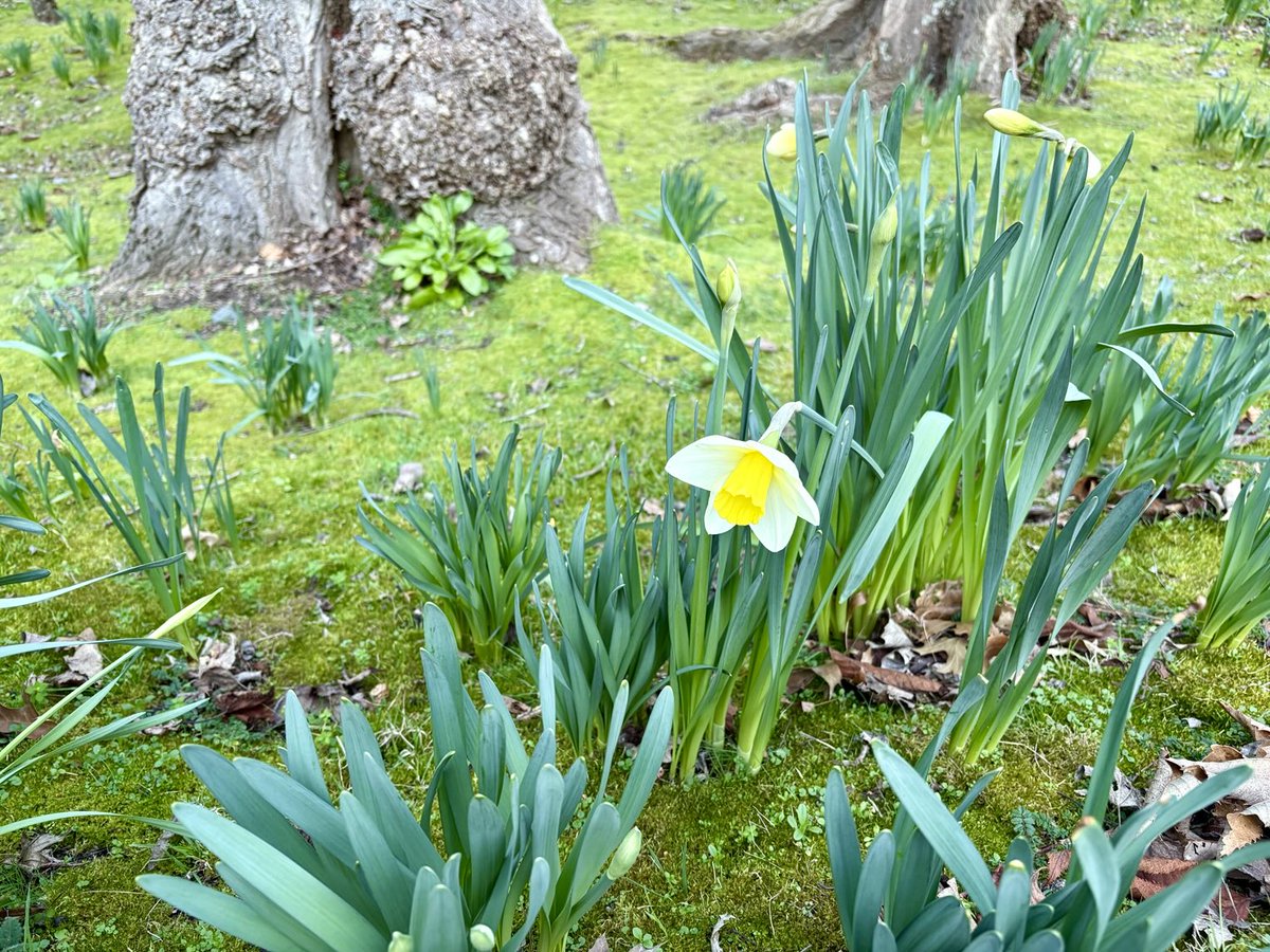 Spring has sprung