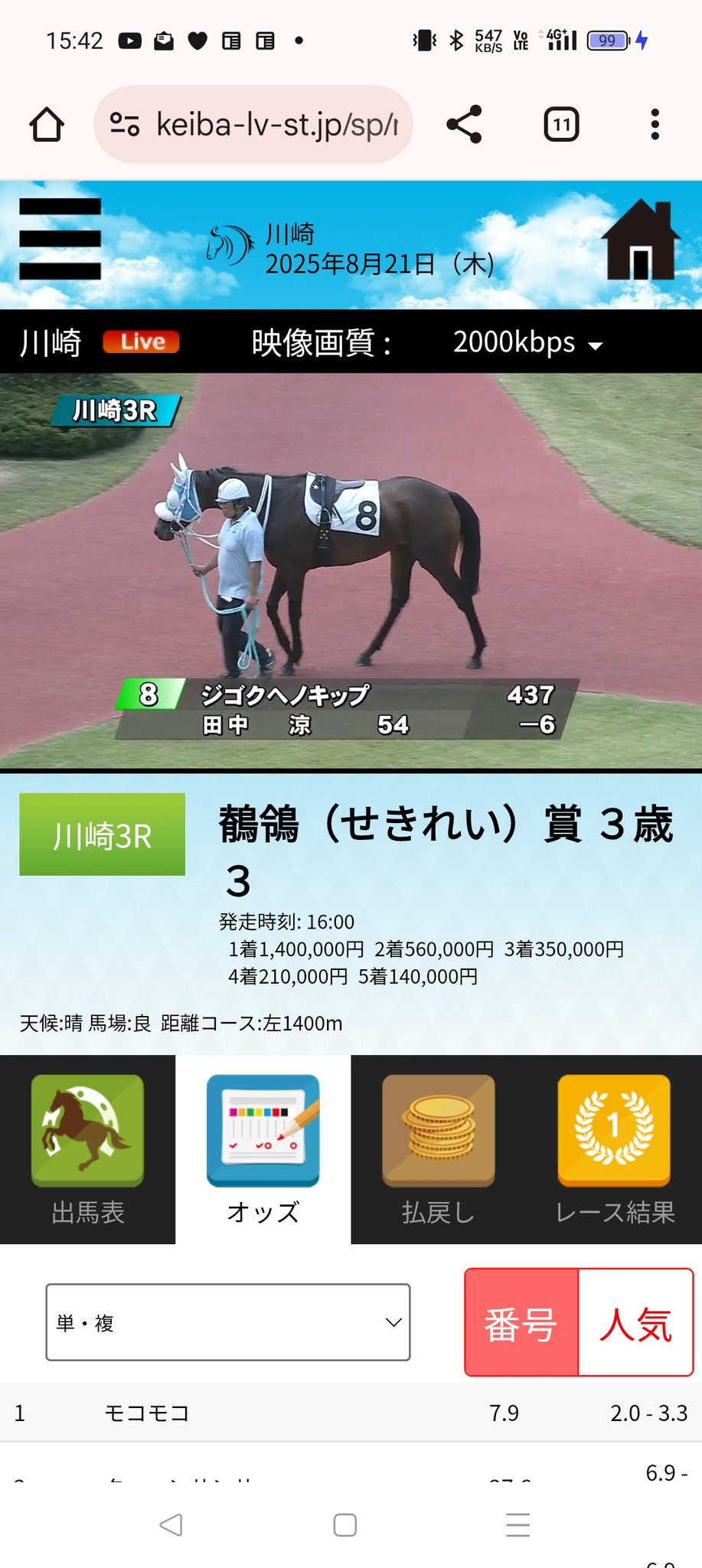 ⭐︎たぬきです⭐︎乗馬　HS 拍車　&amp;   短鞭 鶺鴒賞 - Hledat / X