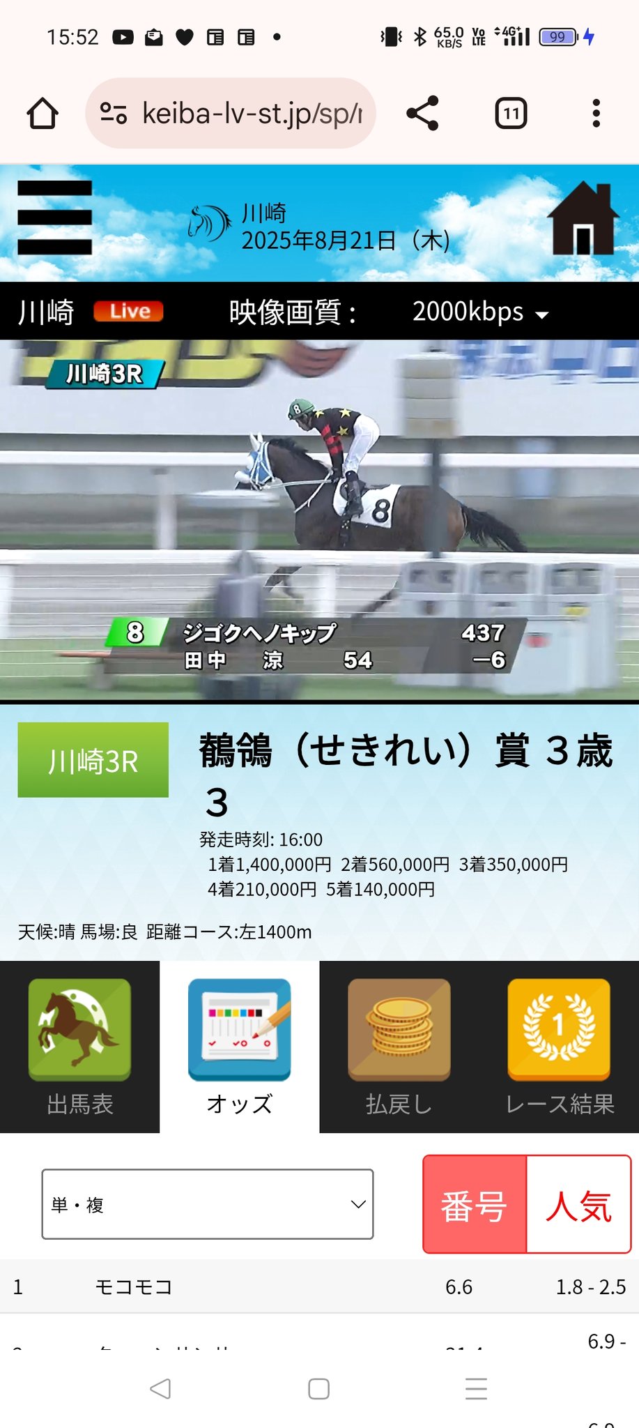 ⭐︎たぬきです⭐︎乗馬　HS 拍車　&   短鞭 鶺鴒賞 - Hledat / X