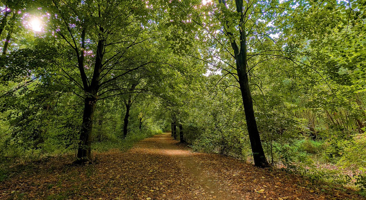 Wat een heerlijke mooie zonnige rustige start van de dag.
#Zomer #RTL #weerfoto
<a href="/weerverteller/">Weerverteller.nl</a>⁩ <a href="/BuienRadarNL/">Buienradar</a> <a href="/weermanrobert/">➡️ Robert de Vries</a> ⁦<a href="/MeteoVoorne/">Meteo Voorne Aan Zee</a>⁩ ⁦<a href="/janvissersweer/">JAN VISSER</a>⁩ ⁦<a href="/Weerplaza/">Weerplaza.nl</a>⁩ ⁦
<a href="/onwukaa/">Amara Onwuka</a> <a href="/HartvNL/">Hart van Nederland</a>