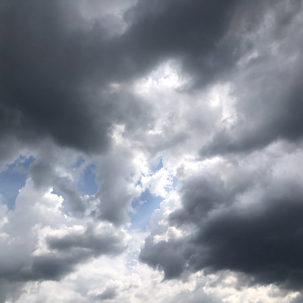 #空がある風景 
#イマソラ 
#キリトリセカイ 

雷雨になる、ちょっと前の空。
今は土砂降りで、雷もすごいです。

2025 8 21 Thu 15:00 Fukuoka city.