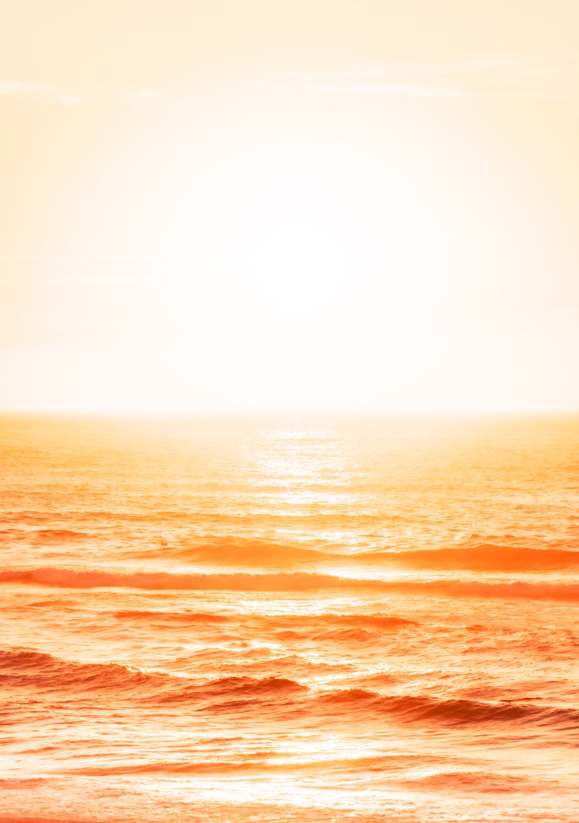 Frikomid's tweet photo. sea of honey https://t.co/ARfmkfUlXL